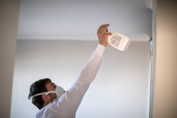 Mold Removal and Inspection in Acworth, GA