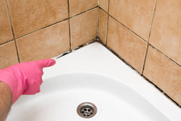 Best Professional Mold Removal  in Acworth, GA